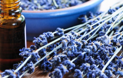 Levanduľový esenciálny olej (Lavandula) Levanduľový esenciálny olej (Lavandula)